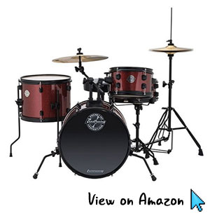 ludwig pocket kit
