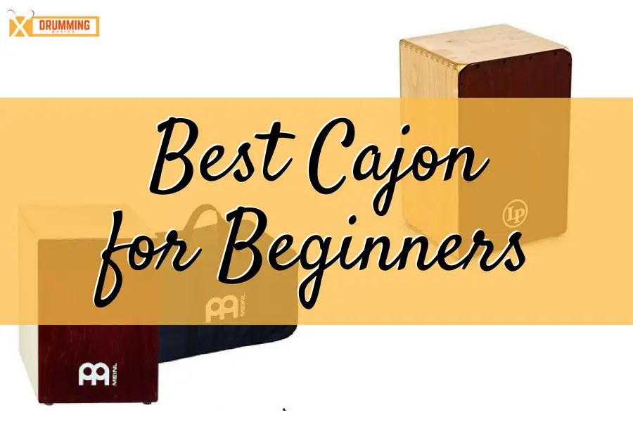 Best Cajon for Beginners