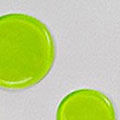 drum dampening gel