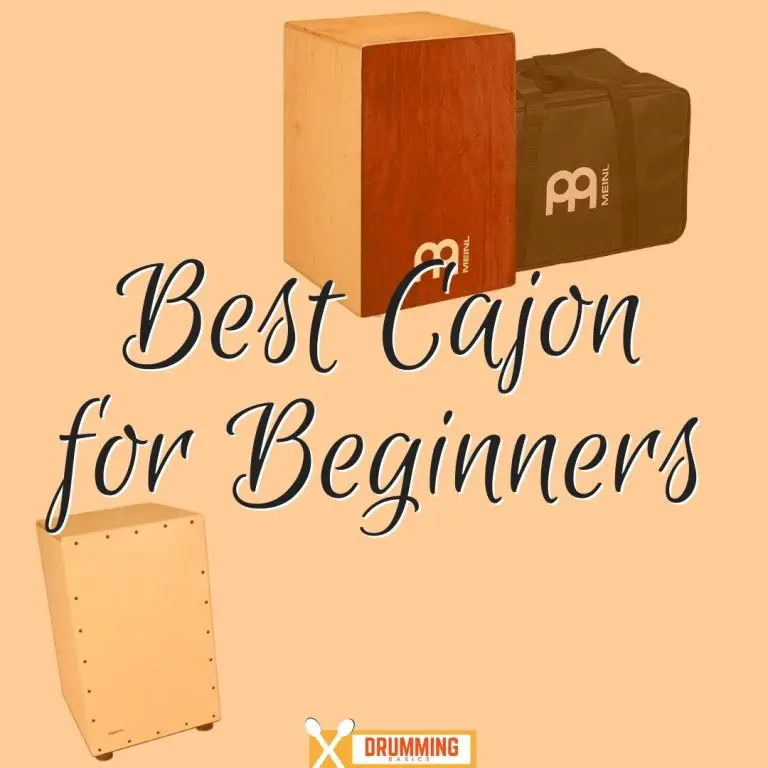Best Cajon for Beginners Drumming Basics